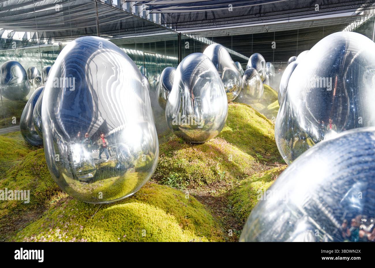 Reflective silver orbs hover over mossy terrain in an immersive installation at teamLab Planets Stock Photo