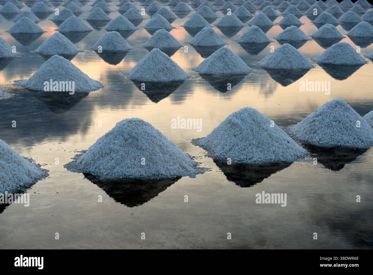 Labourers toil in the intense heat to harvest salt from coastal pans ...
