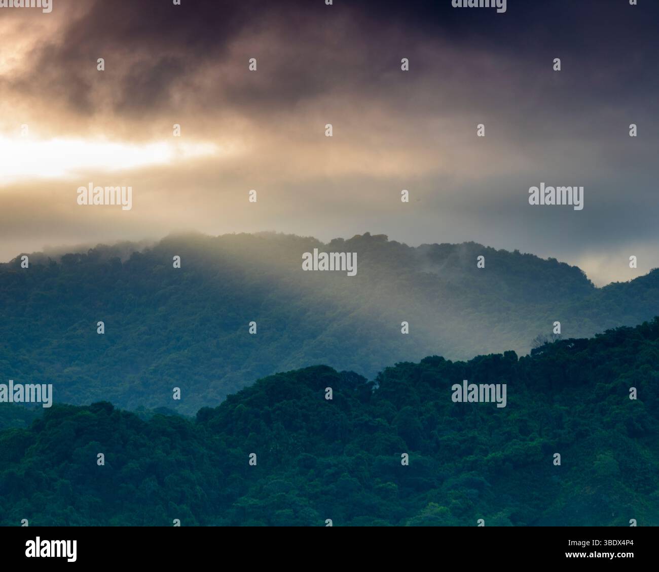 Sunrise and misty rainforests and mountains seen from the island Bahia ...