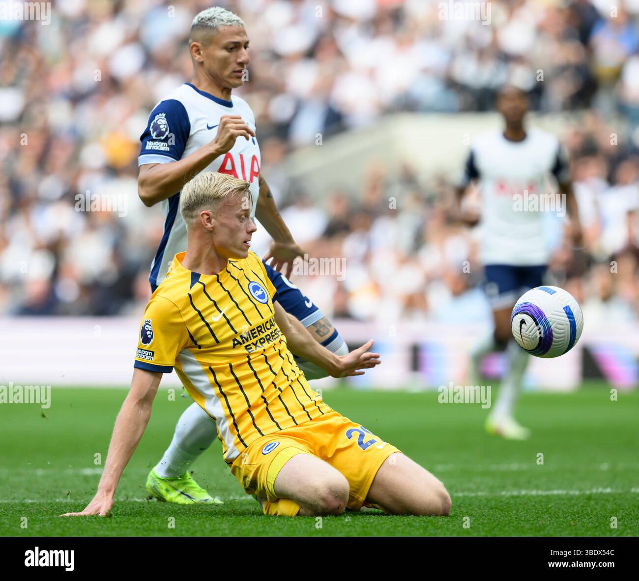 DERECHO A VIVIR FLUTOFtheLOOMハートTシャツ London, UK. 25th Jan, 2024. Bez and Firouzeh Razavi seen attending