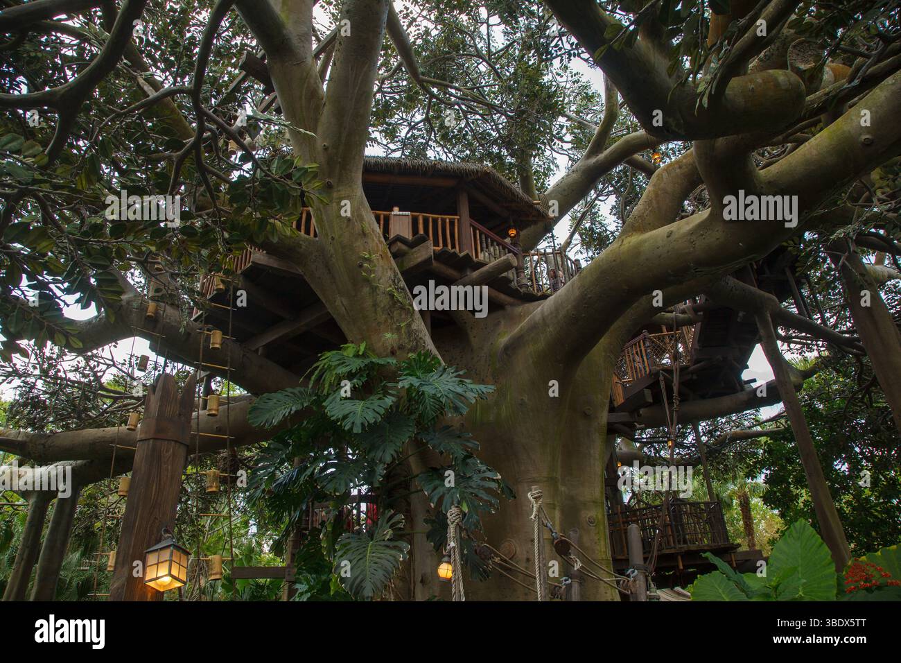 The Swiss Family treehouse in Adventureland, Magic Kingdom amusemenet ...