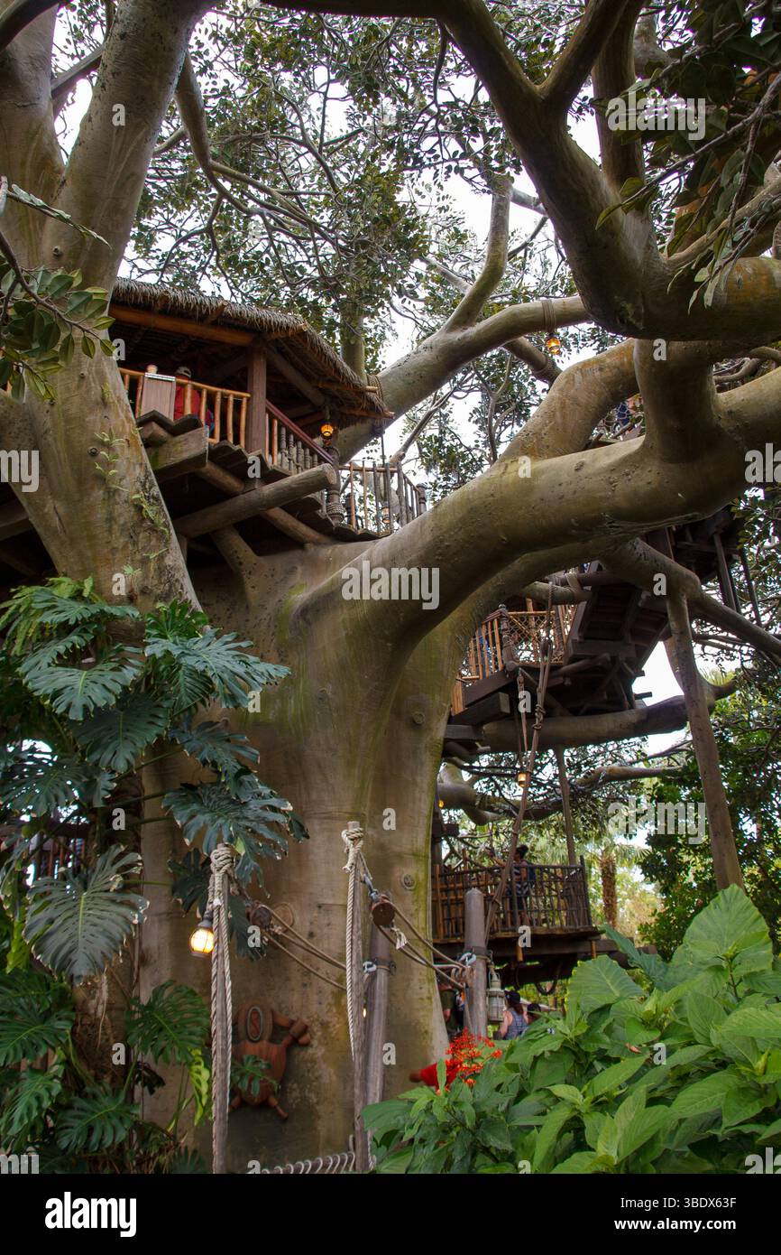 The Swiss Family treehouse in Adventureland, Magic Kingdom amusemenet ...