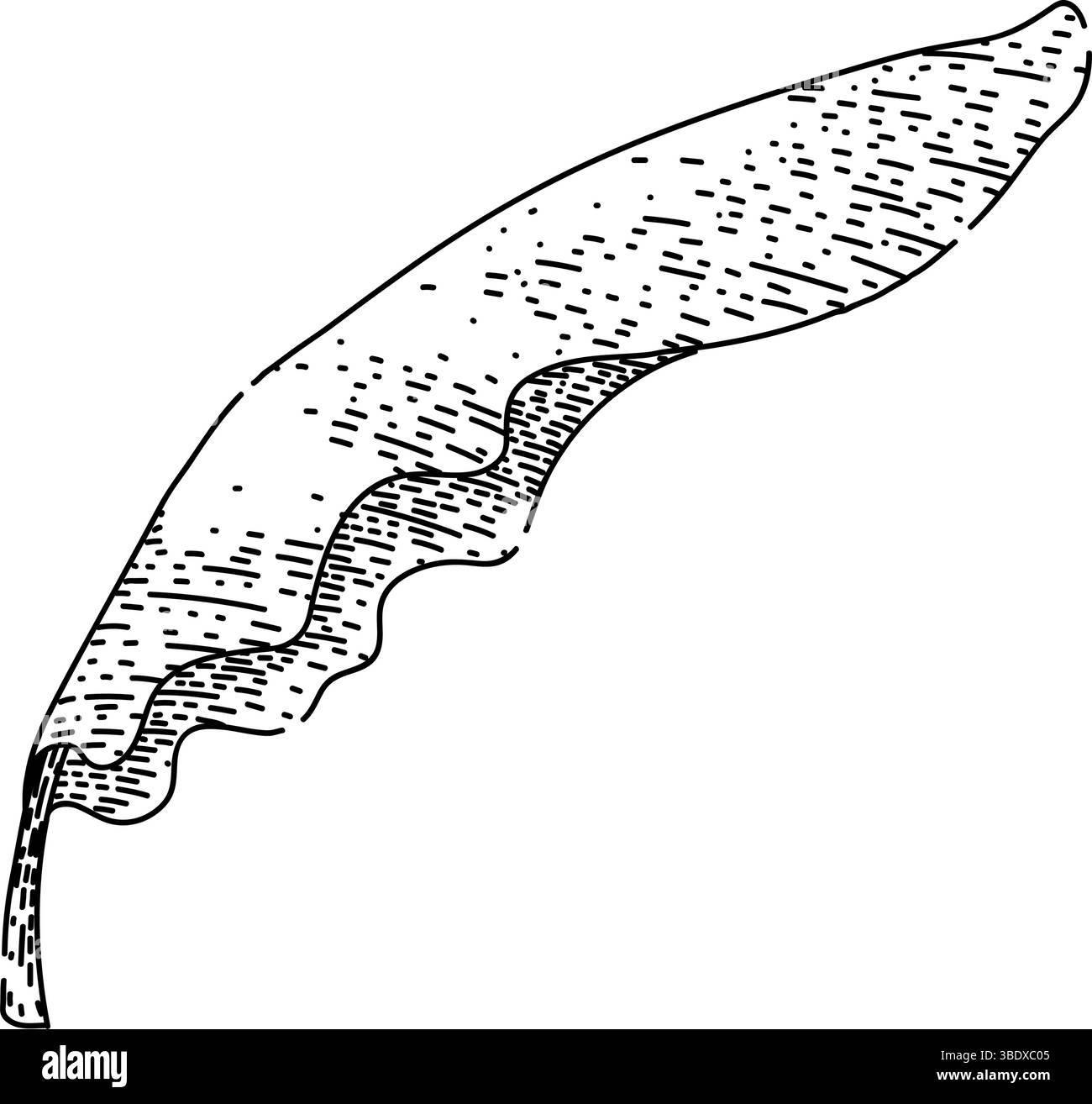 ecofriendly banana leaf sketch hand drawn vector Stock Vector Image ...