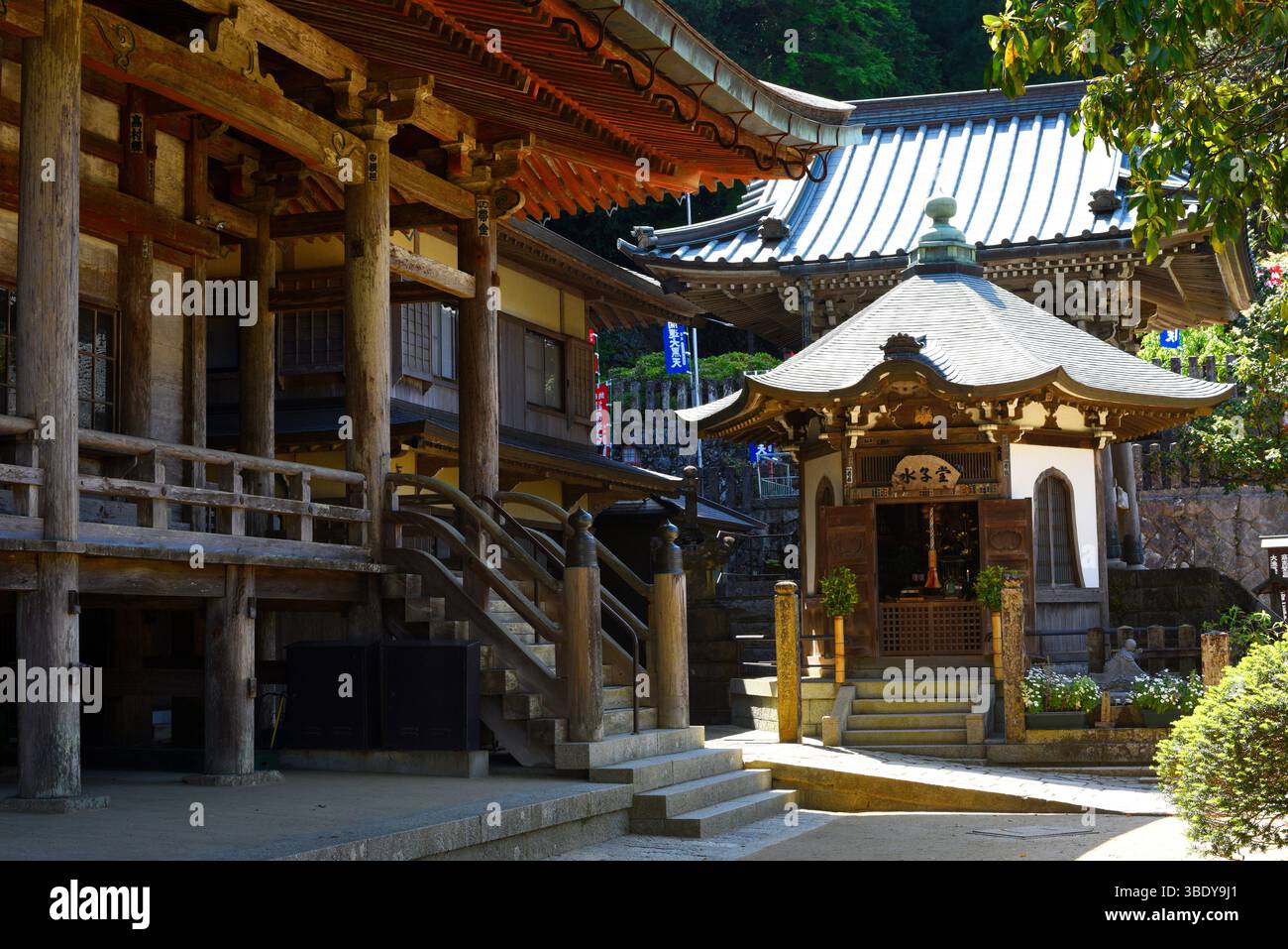 Nachisan Seiganto-ji temple, next to Kumano Nachi Taisha Grand Shrine,Kumano Kodo,Wakayama Prefecture,Japan,Asia. Stock Photo
