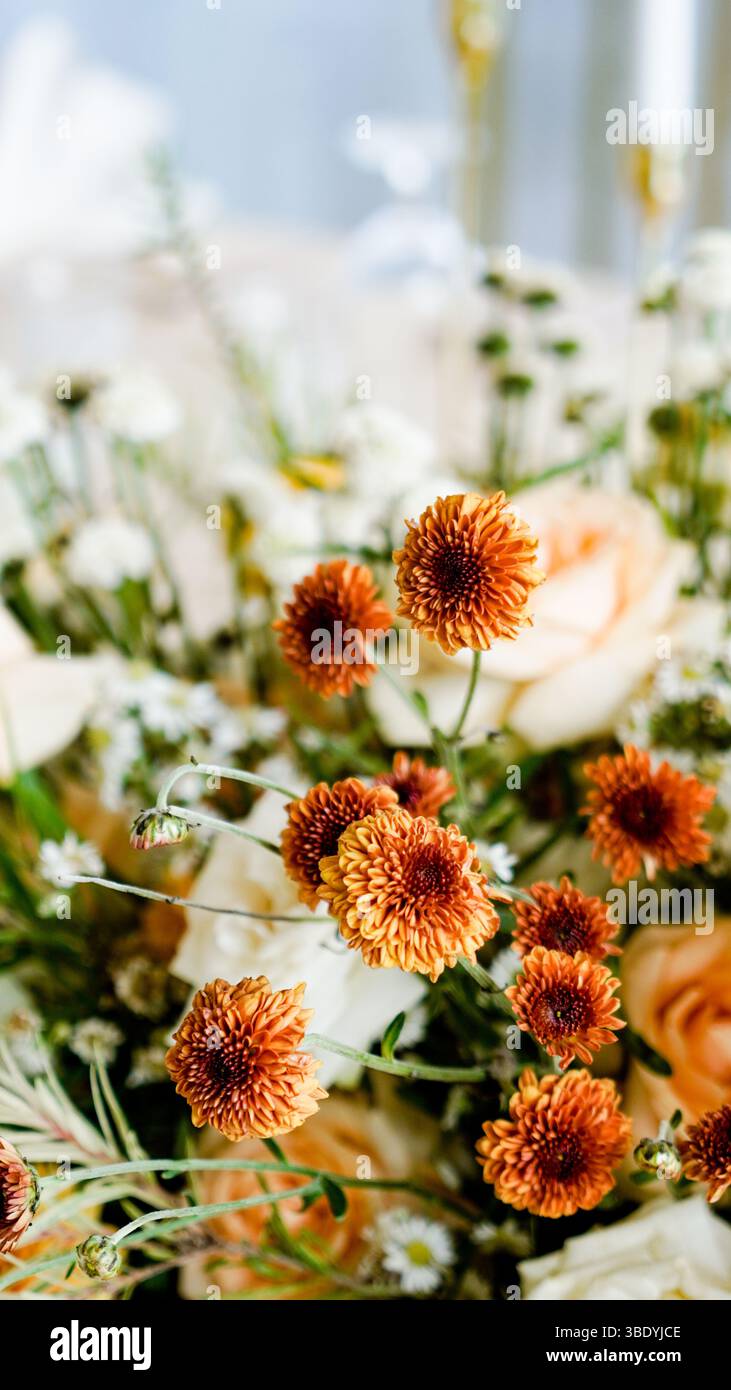 Burnt orange hi-res stock photography and images - Alamy