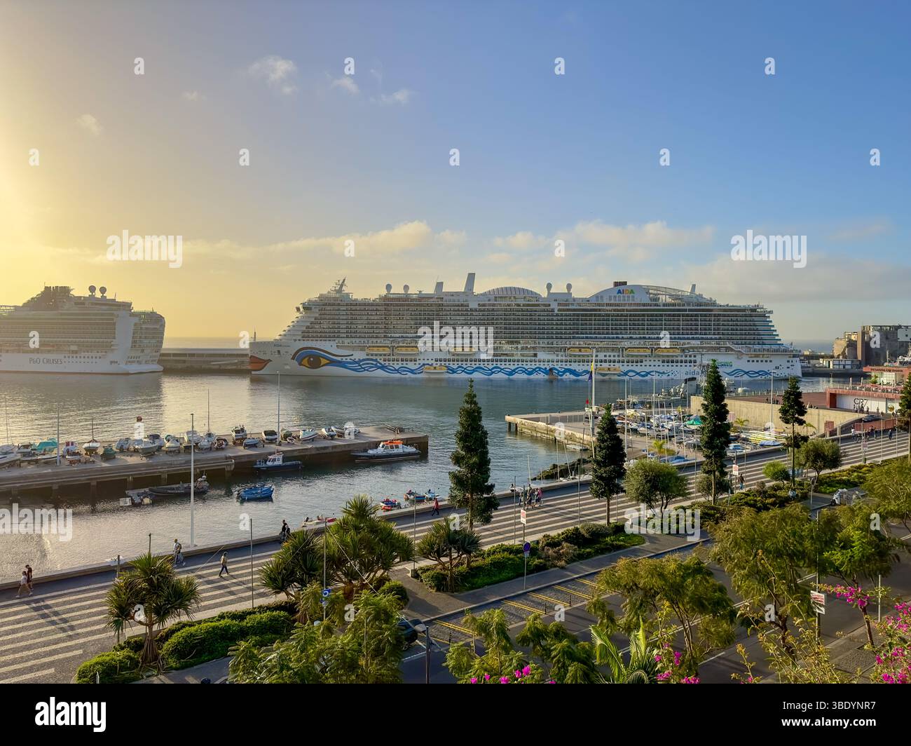 Kreuzfahrtschiffe im Hafen von Funchal bei Sonnenaufgang, Madeira, Portugal , AIDAnova - Smartphone Captured Stock Image