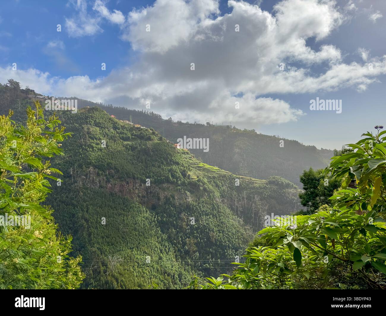 Seilbahn über grüne Berghänge und Häuser bei Funchal, Madeira - Smartphone Captured Stock Image