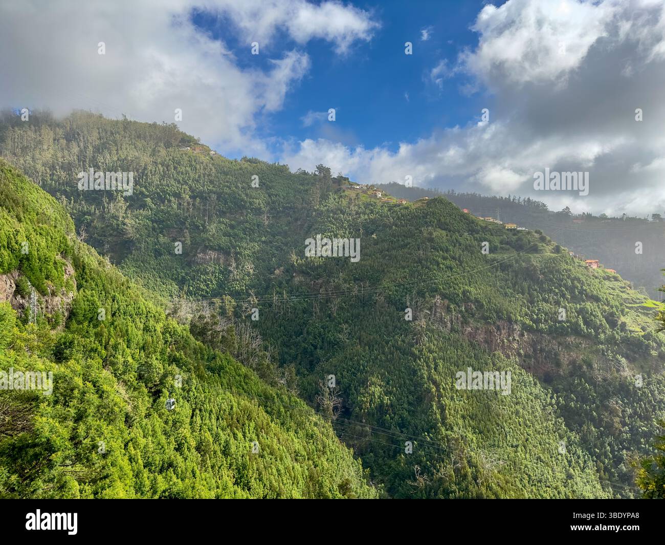 Seilbahn über grüne Berghänge und Häuser bei Funchal, Madeira - Smartphone Captured Stock Image
