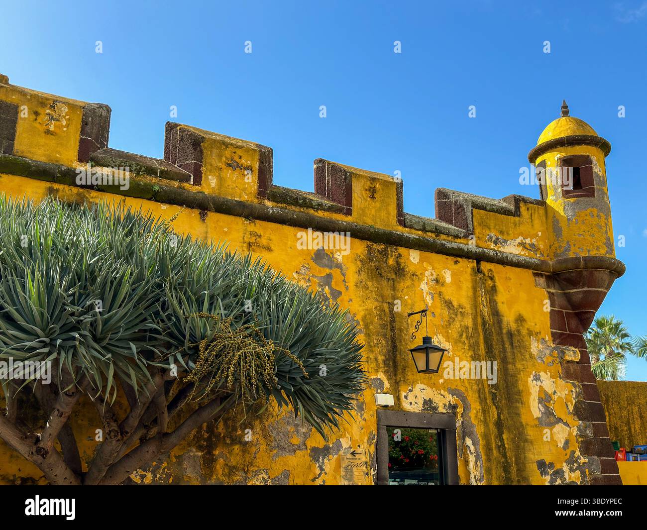 Festung São Tiago mit gelbem Wachturm unter blauem Himmel, Funchal, Madeira - Smartphone Captured Stock Image
