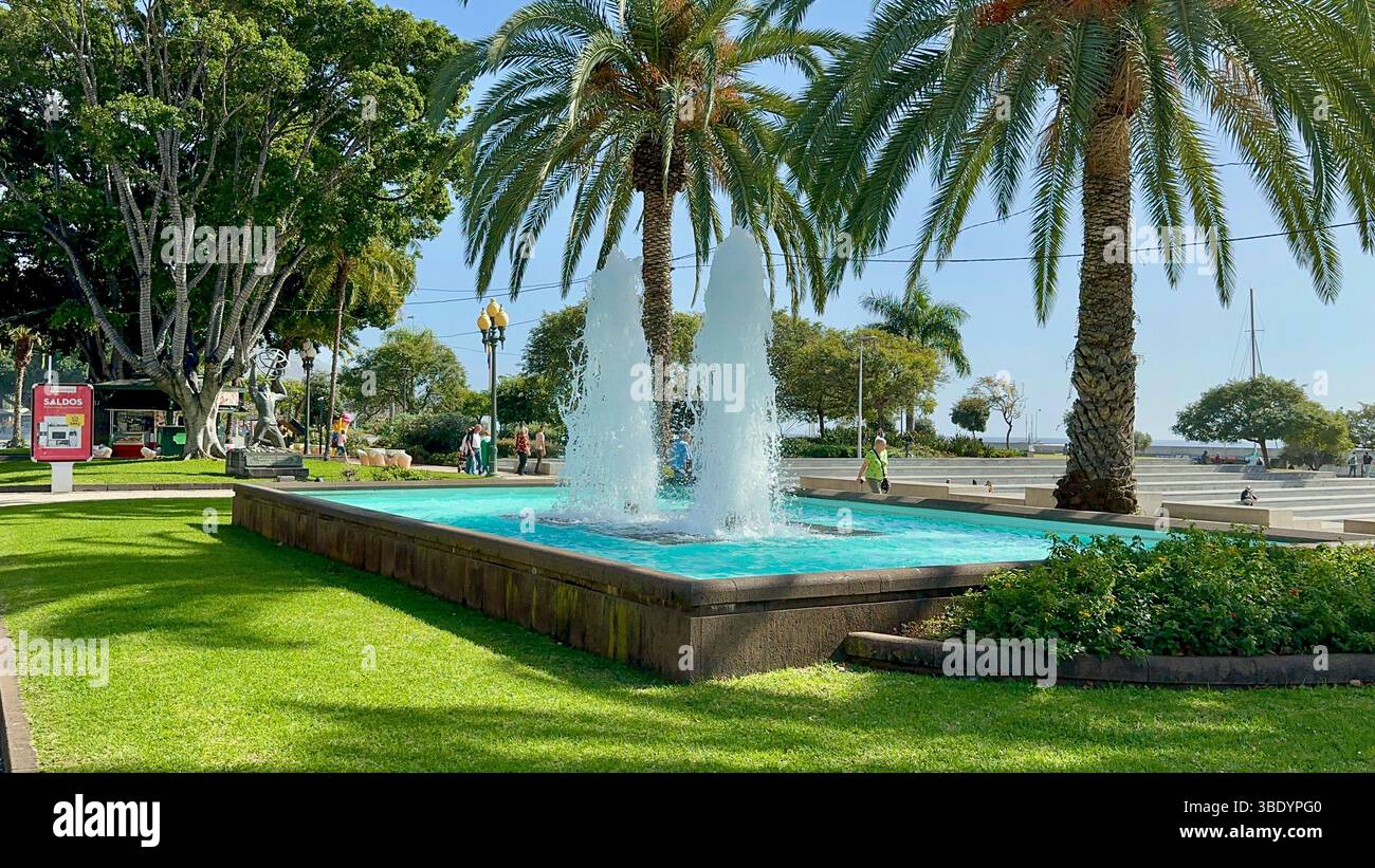 Springbrunnen und Palmen im Stadtpark von Funchal, Madeira, Portugal - Smartphone Captured Stock Image