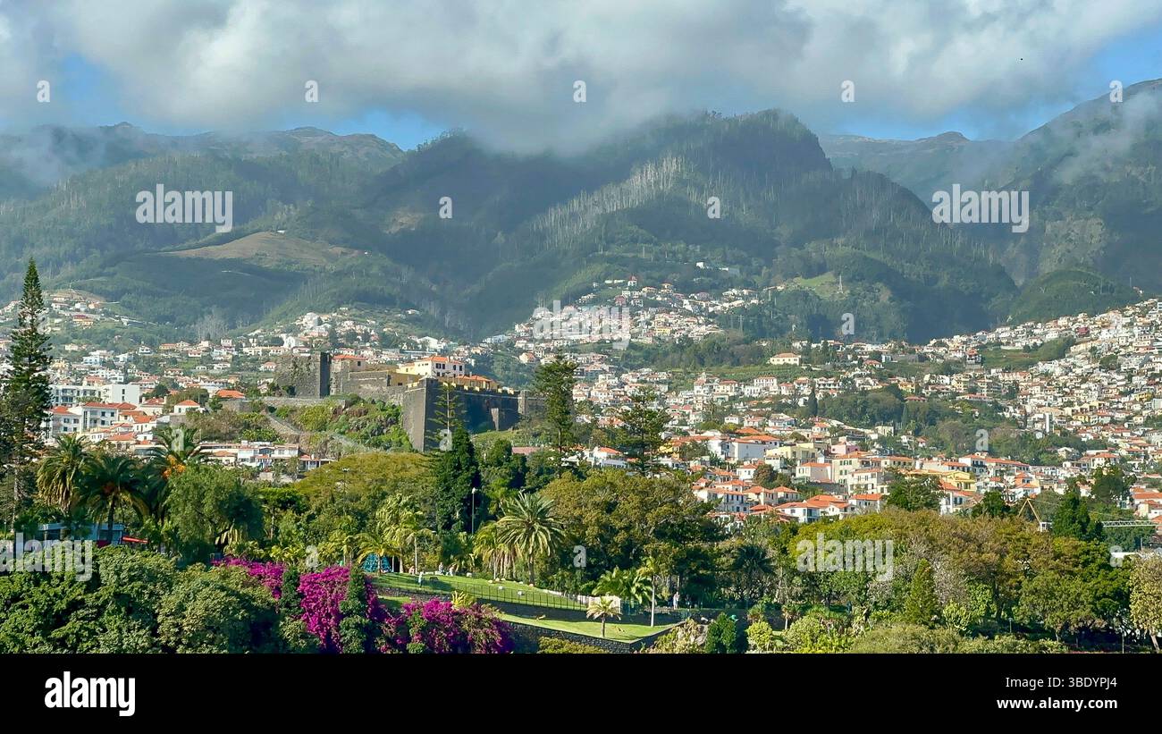 Hafen von Funchal mit modernen Gebäuden und Steilküste, Madeira, Portugal - Smartphone Captured Stock Image