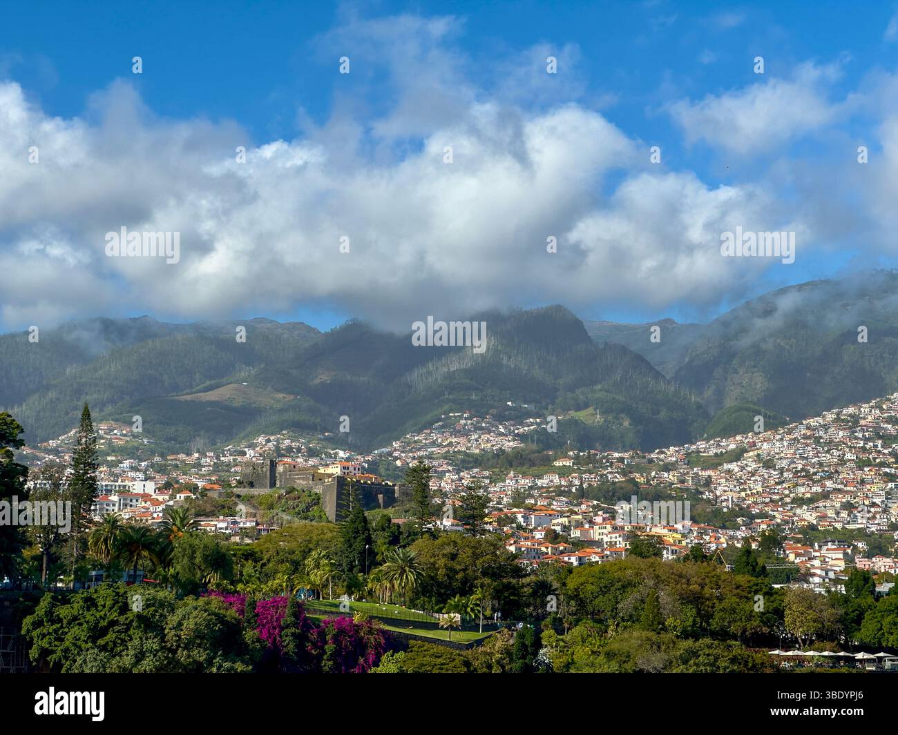 Hafen von Funchal mit modernen Gebäuden und Steilküste, Madeira, Portugal - Smartphone Captured Stock Image