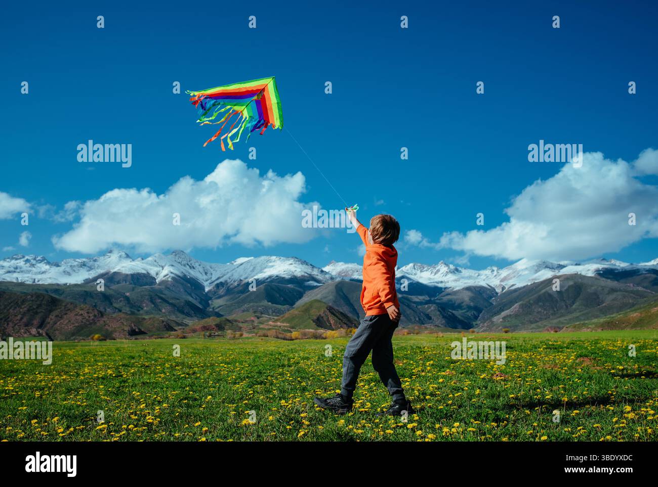 Happy boy with kite on green field on mountains background Stock Photo