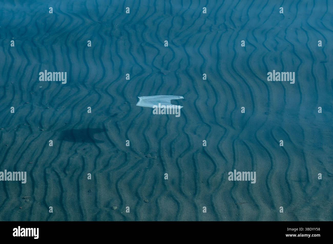 Sea water surface with floating plastic bag, ecology concept Stock Photo