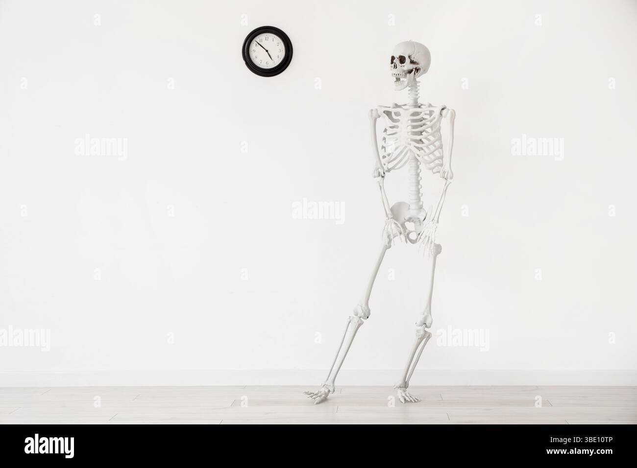 Human skeleton model near clock on light wall Stock Photo