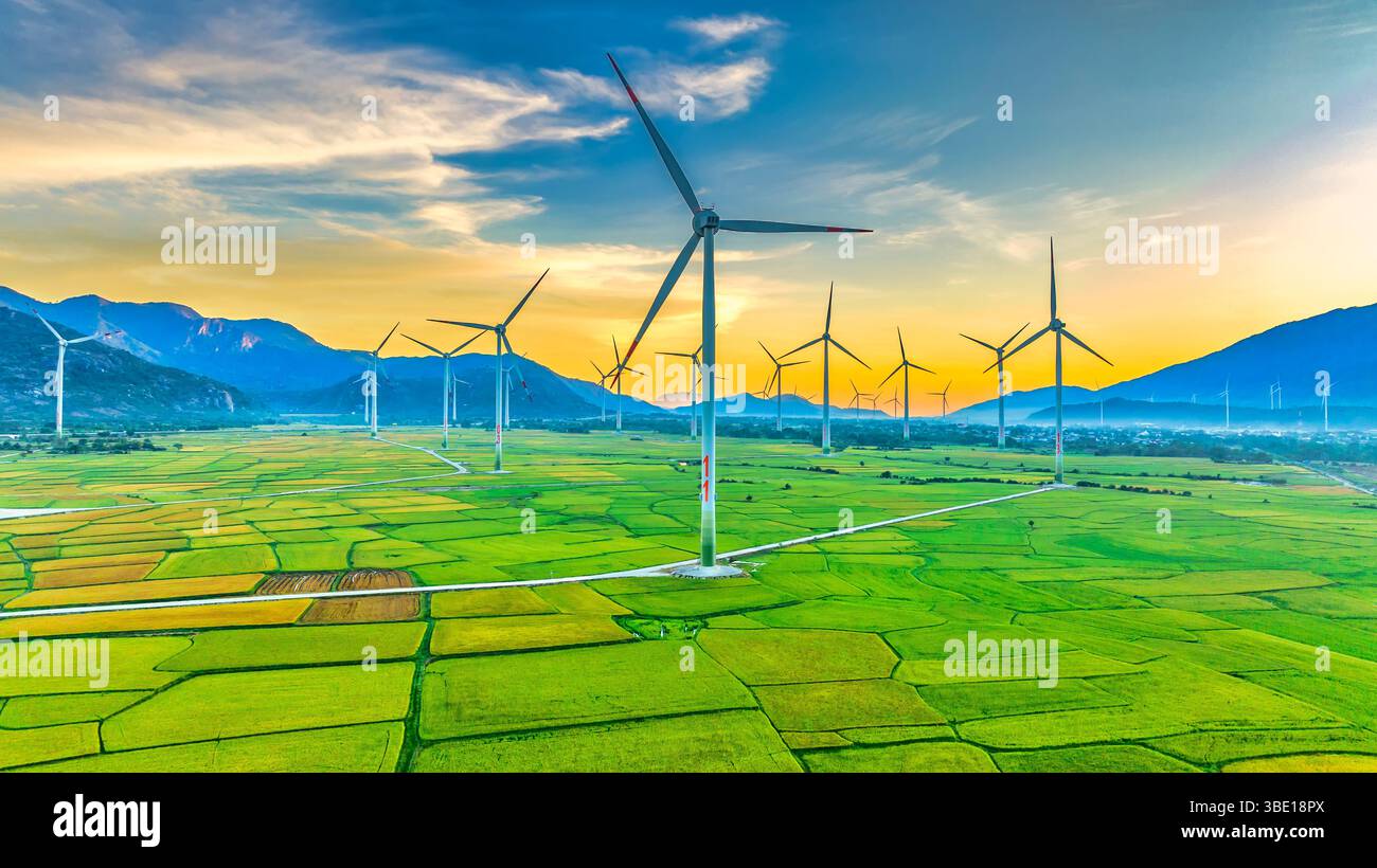 Windmill Rice Local Panoramic view of wind farm or wind park. Wind turbines generating ...