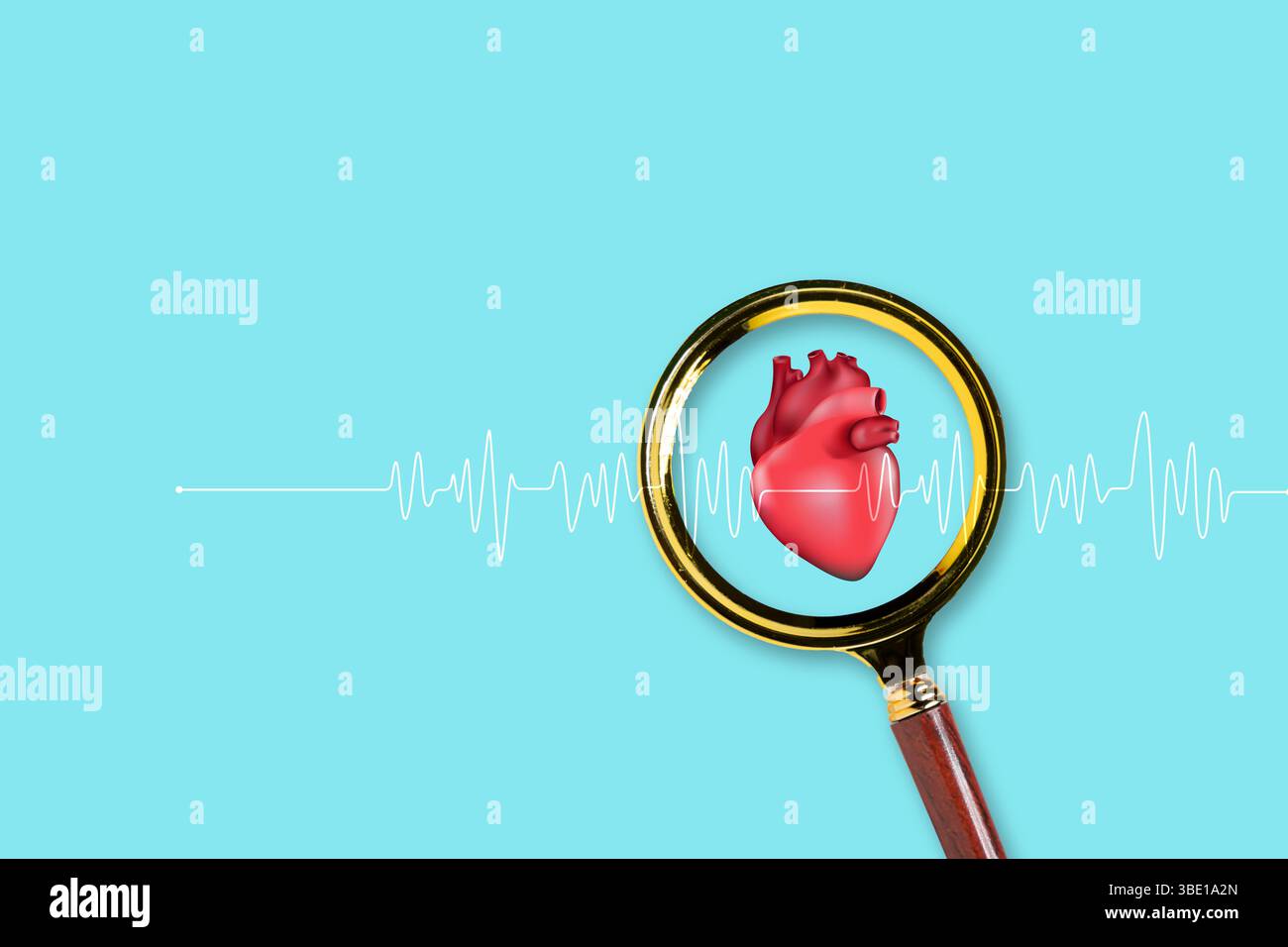 Magnifying glass zooming on realistic human heart with electrocardiogram waveform on blue background. Concept for heart health, cardiology, diagnosis, Stock Photo