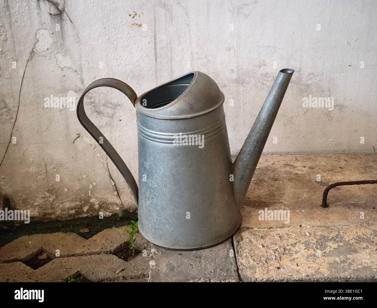 A  plant watering can on concrete Stock Photo