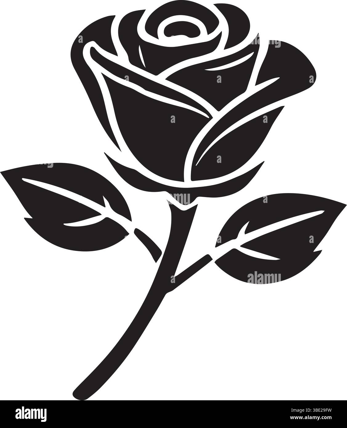 Elegant black rose with leaves isolated on white background in vector ...