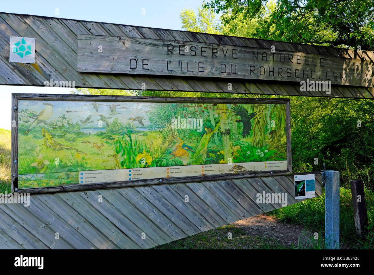France, Bas Rhin, Strasbourg, Rohrschollen Island National Nature