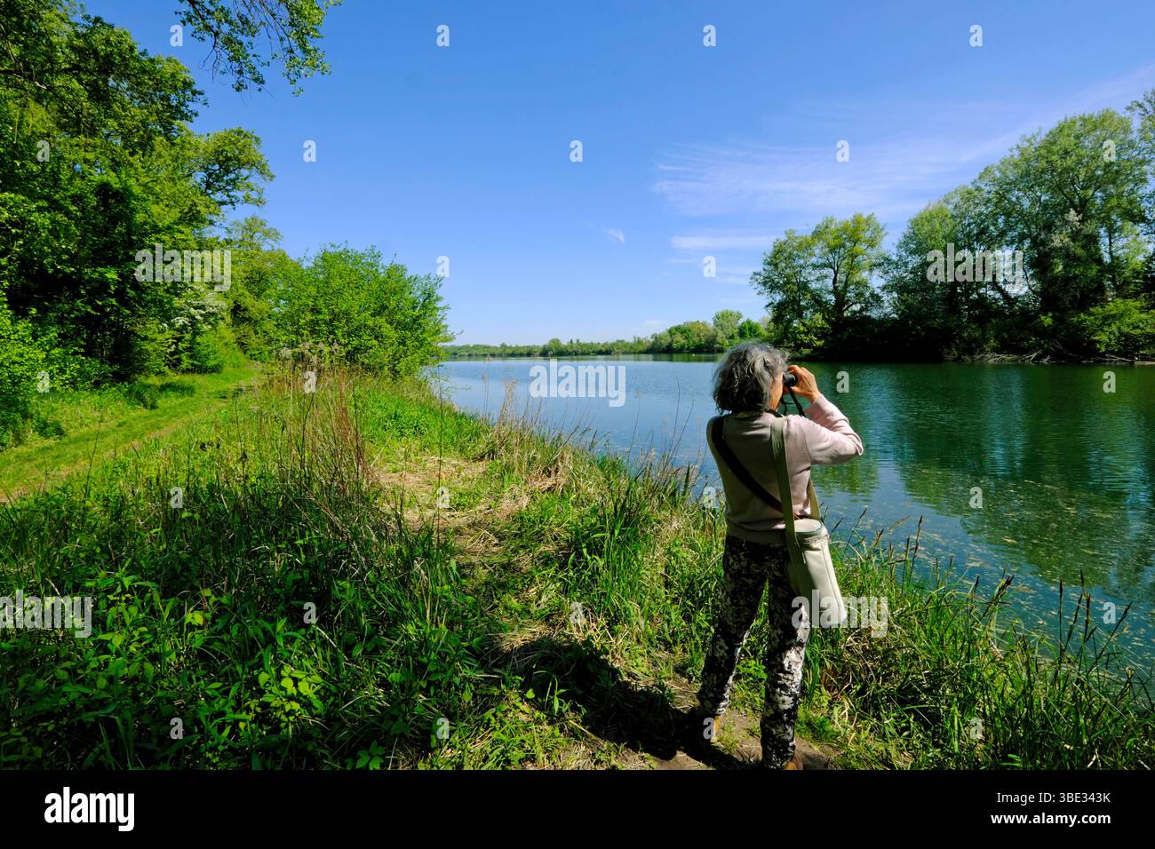 France, Bas Rhin, Strasbourg, Rohrschollen Island National Nature