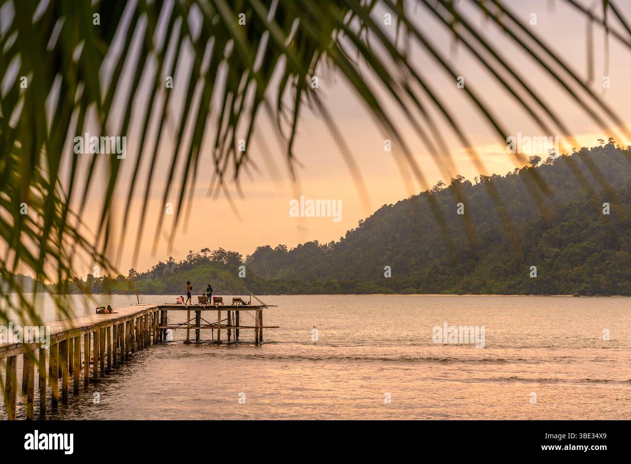 Indonesia, island of Sumatra, Pesisir Selatan, village of Sungai Pinang ...