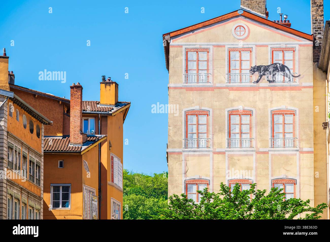 France, Rhone, Lyon, La Presqu'île district, historical site classified as a UNESCO World Heritage Site, Fur Wall or Felines Wall by the artist Mur'art, remnant of an old advertisement for the Périquel fur store Stock Photo