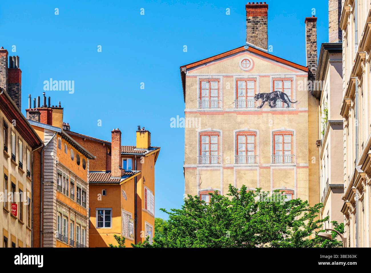 France, Rhone, Lyon, La Presqu'île district, historical site classified as a UNESCO World Heritage Site, Fur Wall or Felines Wall by the artist Mur'art, remnant of an old advertisement for the Périquel fur store Stock Photo