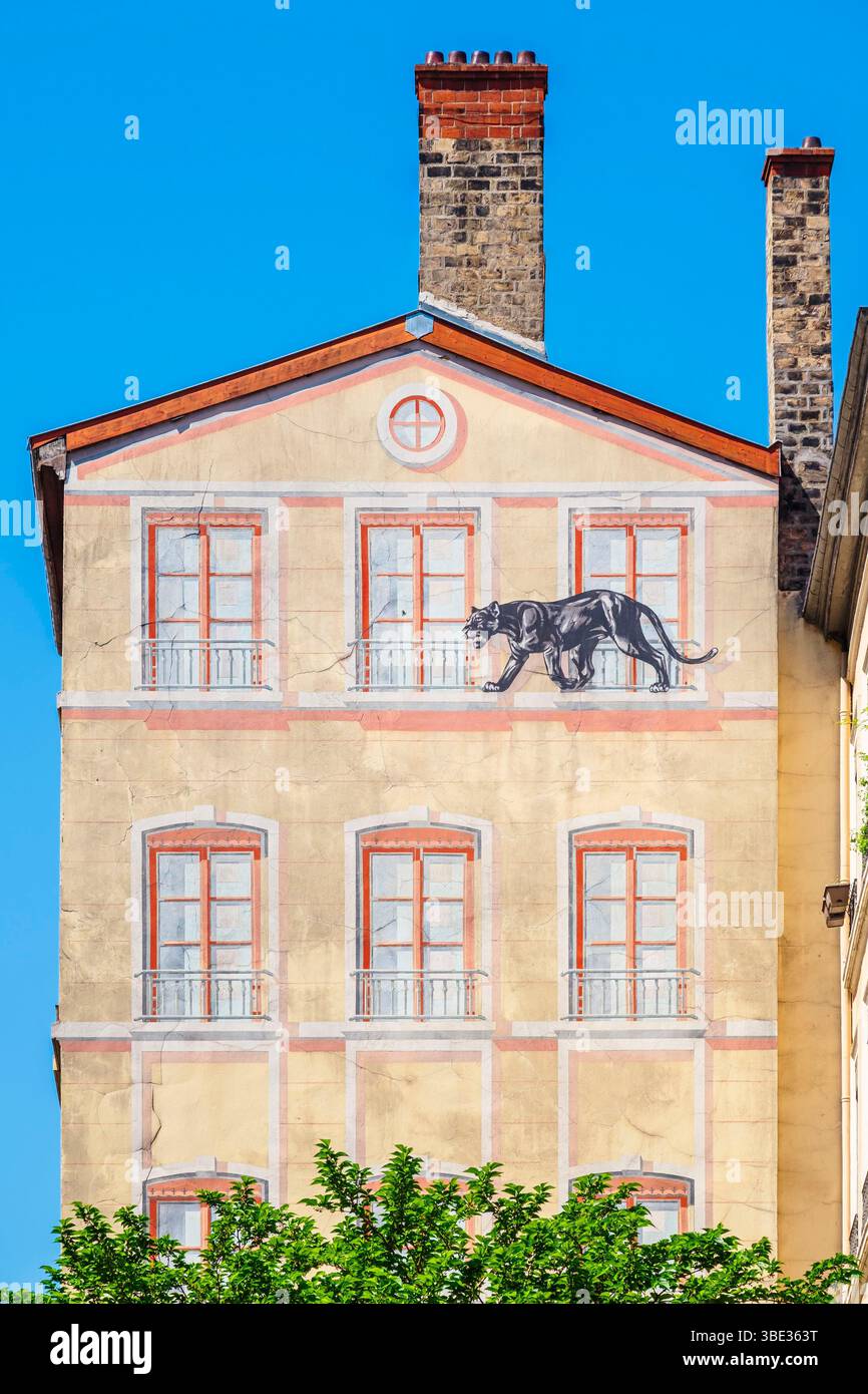 France, Rhone, Lyon, La Presqu'île district, historical site classified as a UNESCO World Heritage Site, Fur Wall or Felines Wall by the artist Mur'art, remnant of an old advertisement for the Périquel fur store Stock Photo