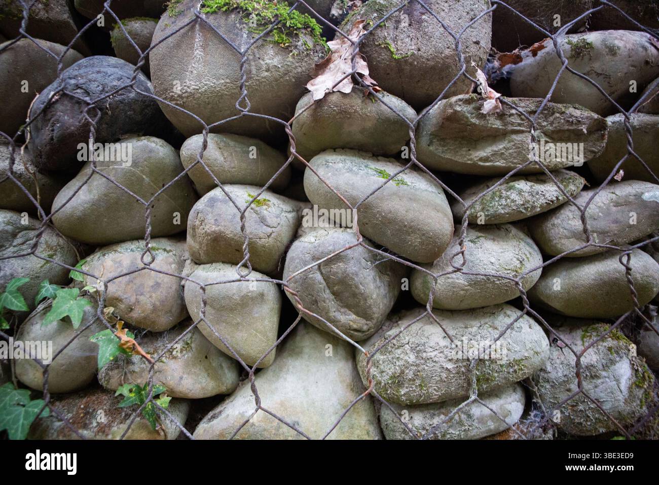 Gabion wall close up displaying textured river stones wire mesh. Stock Photo