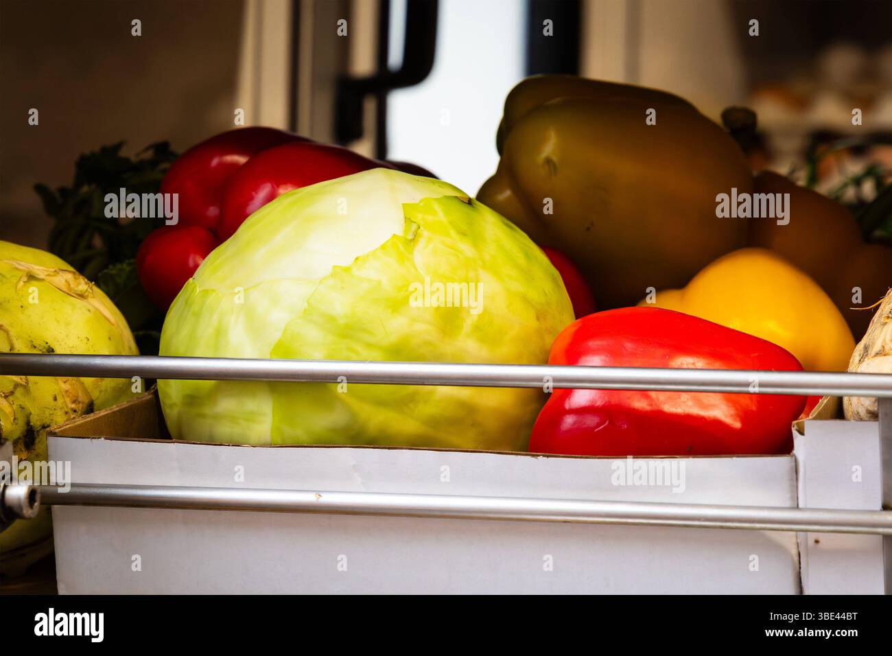 Deutschland 30. Januar 2025: Im Bild: Eine attraktive Präsentation ...