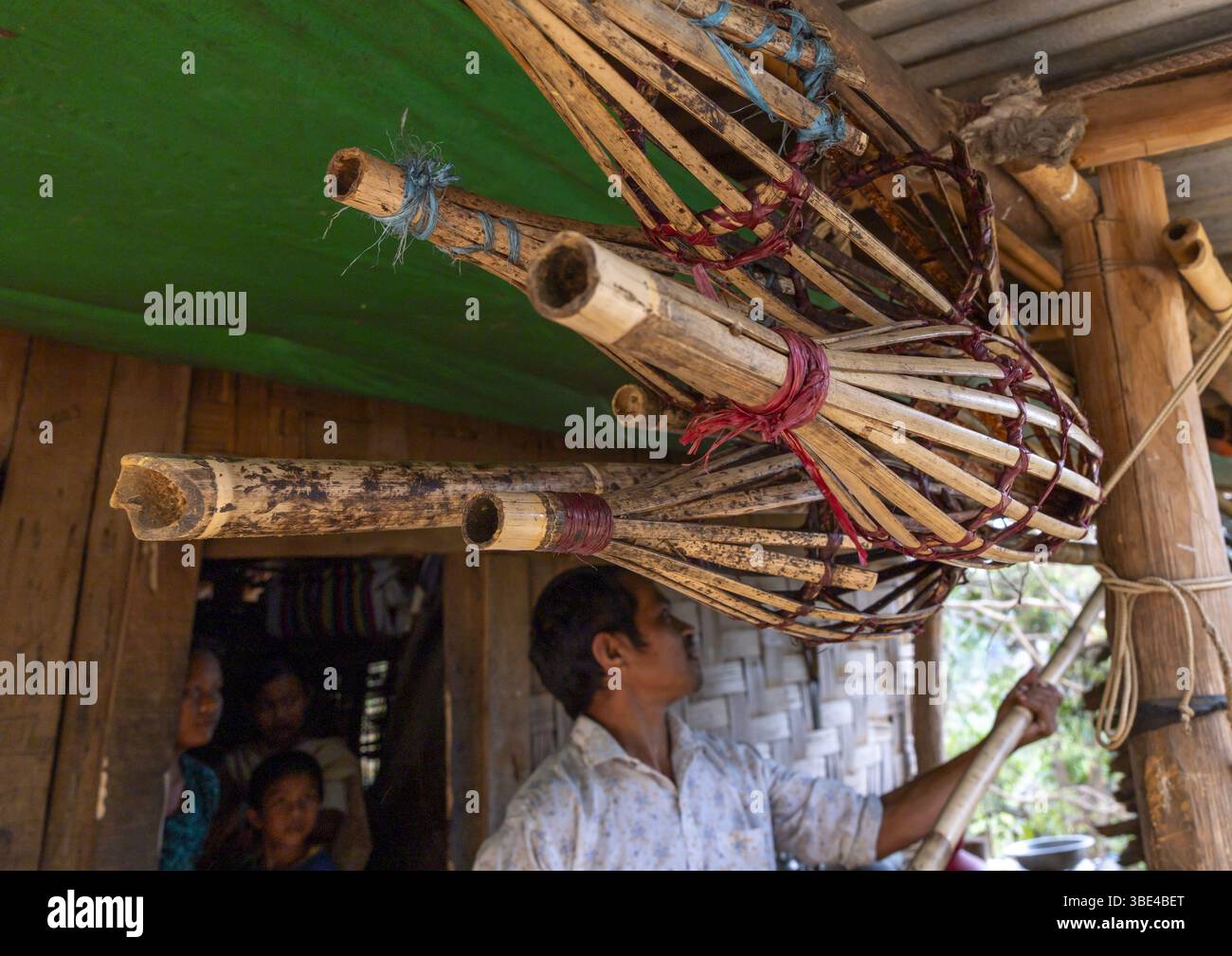 Bamboo tool to harvest mangoes in the trees, Chittagong Division ...