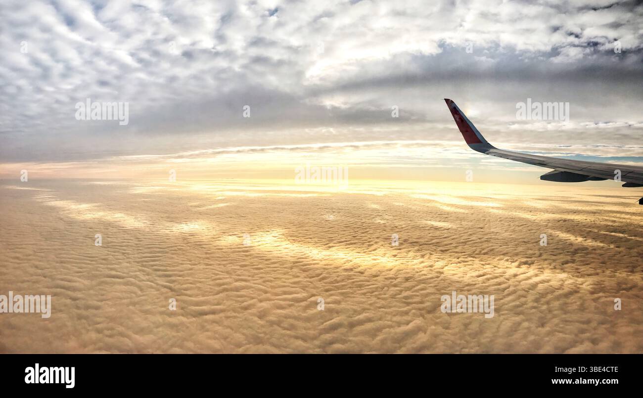 Airplane wing against breathtaking sunrise hi-res stock photography and ...