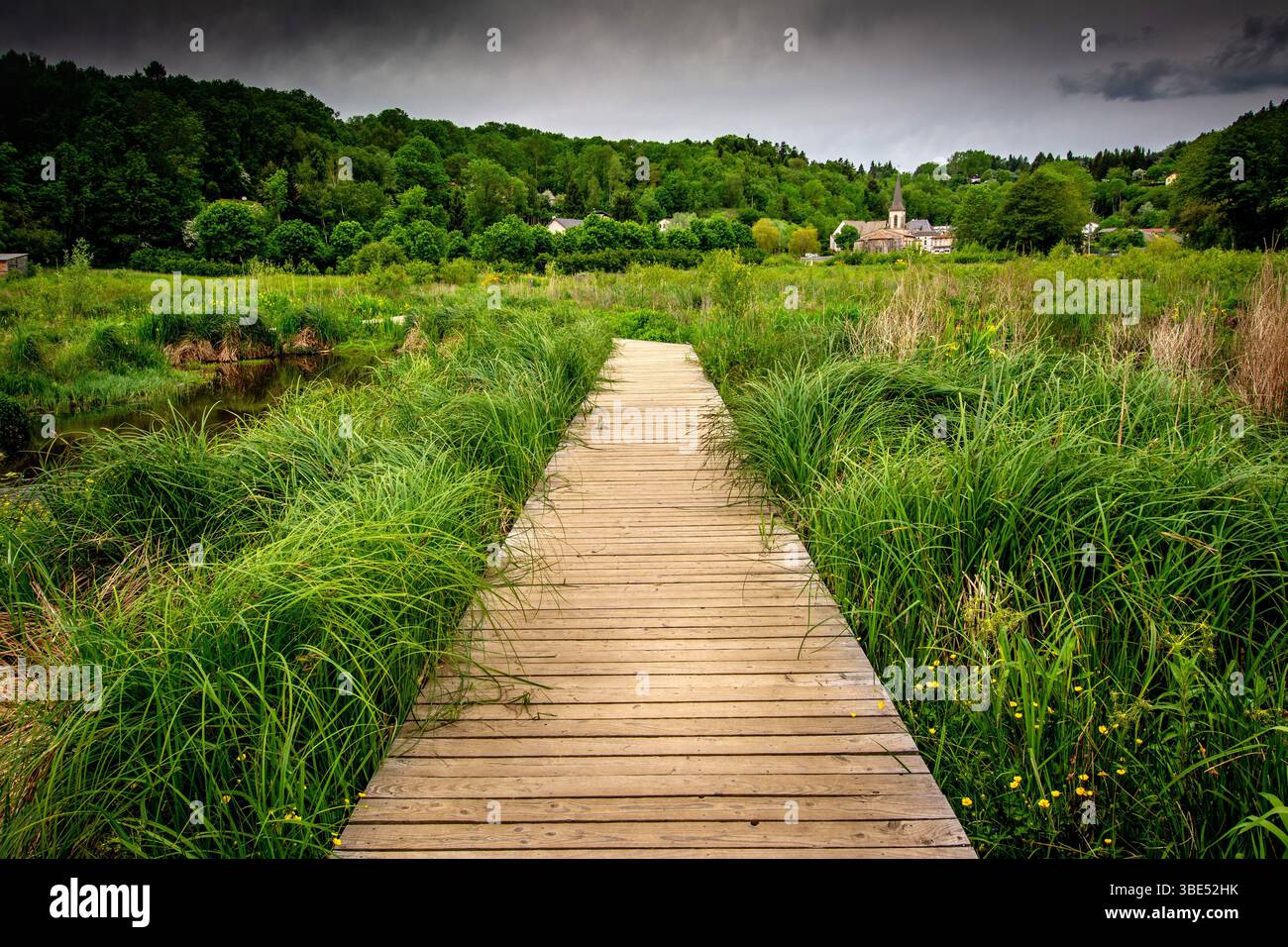 A wooden path stretches through vibrant green grass in the countryside ...