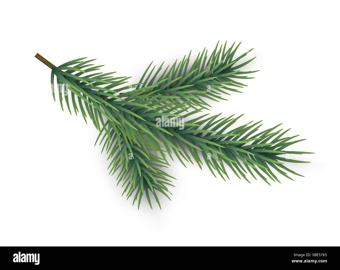 Winter botanical background Stock Vector Images - Alamy