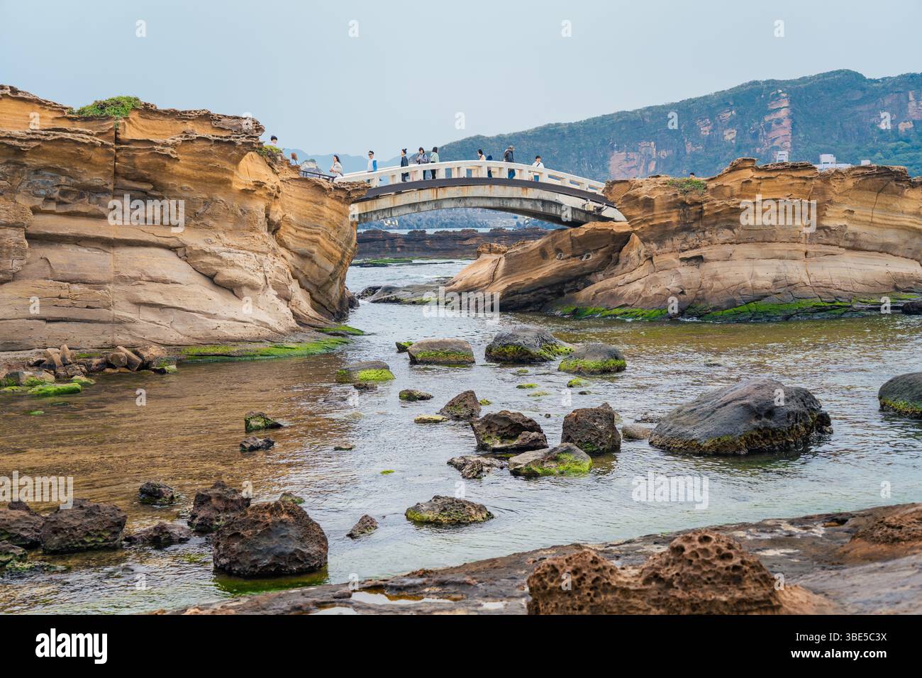 Taiwan Rocks High-resolution image capturing the stunning coastal scenery and world ...