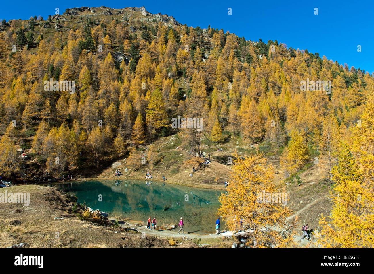 The mountain lake Blausee, Lac Bleu d'Arolla, surrounded by a larch forest in vibrant autumn colors, Arolla, Val d'Hérens, Valais, Switzerland Stock Photo