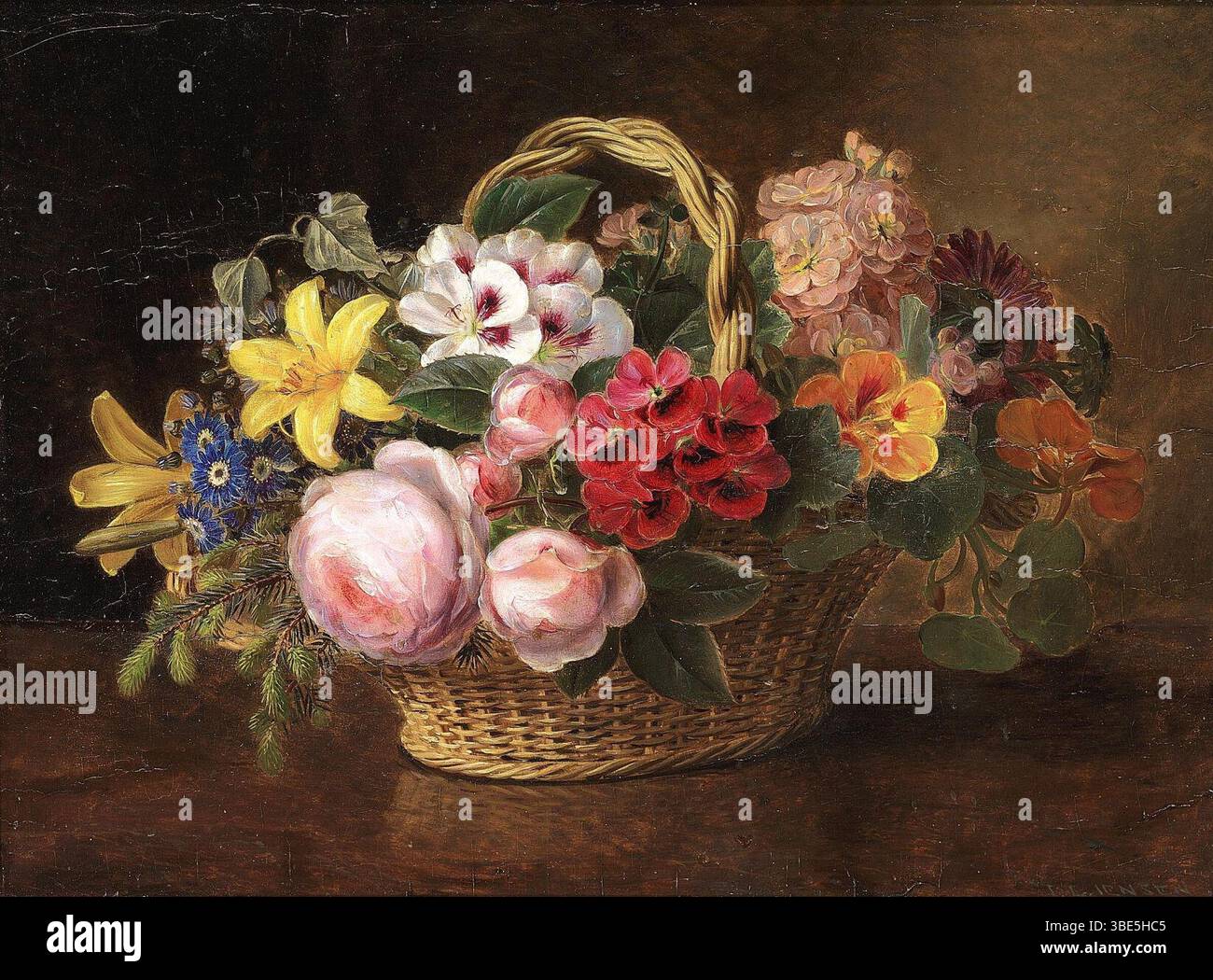 Stedmoderblomster hi-res stock photography and images - Alamy