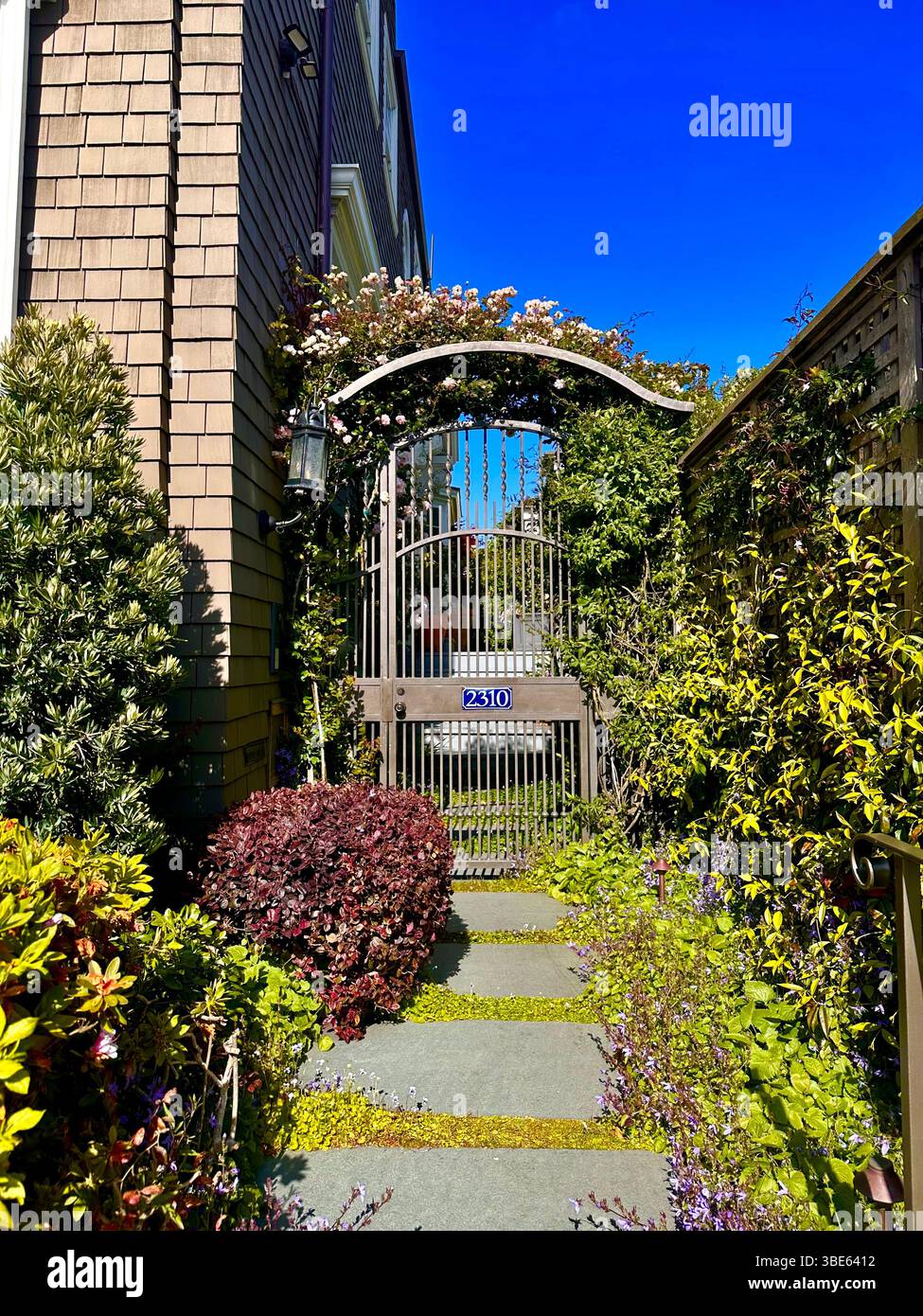 Homes In San Francisco California Victorian Ornate Double Door Mansion Iron Fence Garden Trees Bush Vines Dollhouse Wooden - Smartphone Captured Stock Image