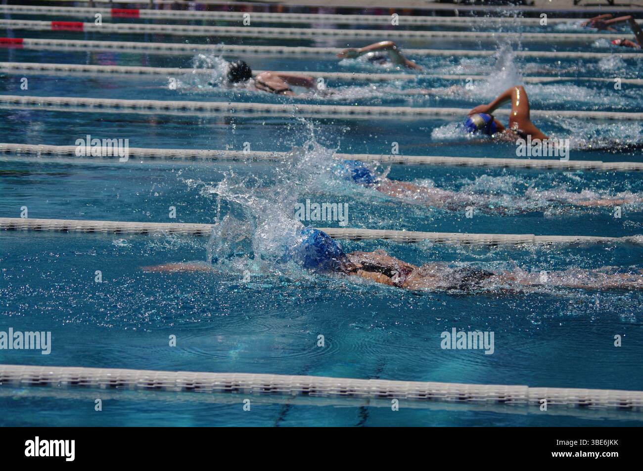 Swimmers in competitive freestyle hi-res stock photography and images ...