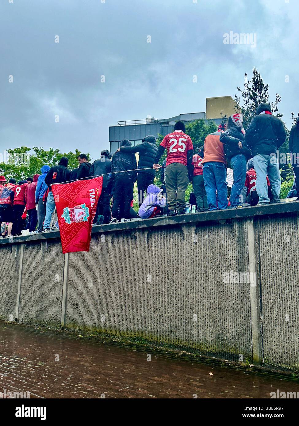 Fans on Hunter Street standing on a wall, Liverpool, UK, await the victory parade in the rain, hugging and waving flags. 26 May 2025. - Smartphone Captured Stock Image