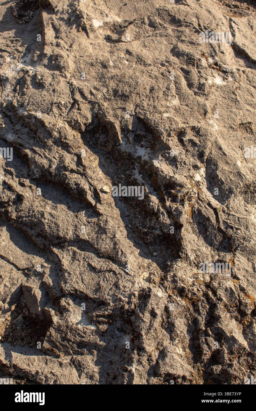 Dark rock close-up in daylight. Textured background Stock Photo