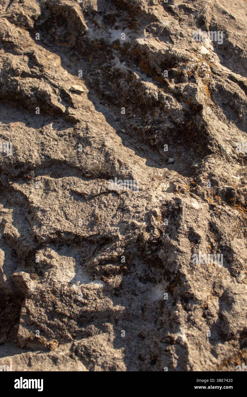 Dark rock close-up in daylight. Textured background Stock Photo