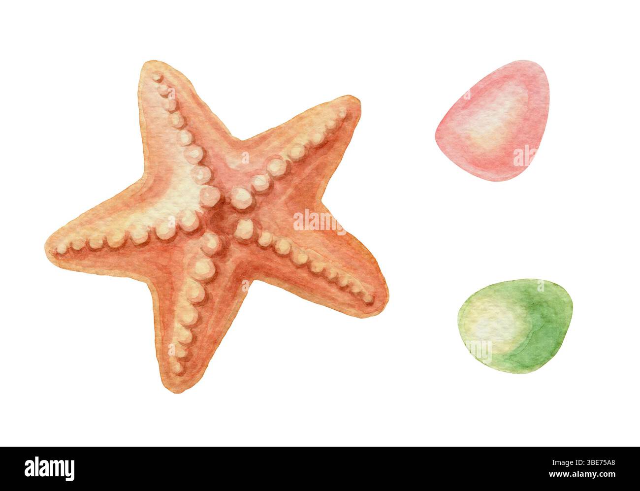 Set of beige starfish and sea glass. Hand drawn watercolor marine ...