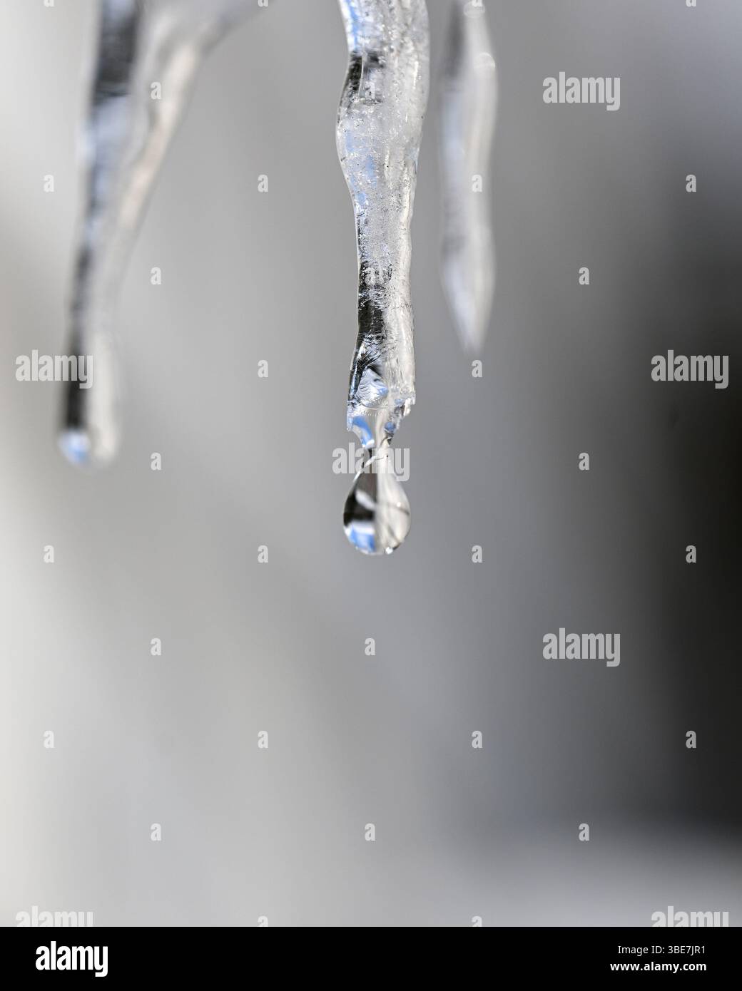 Drip off hi-res stock photography and images - Alamy