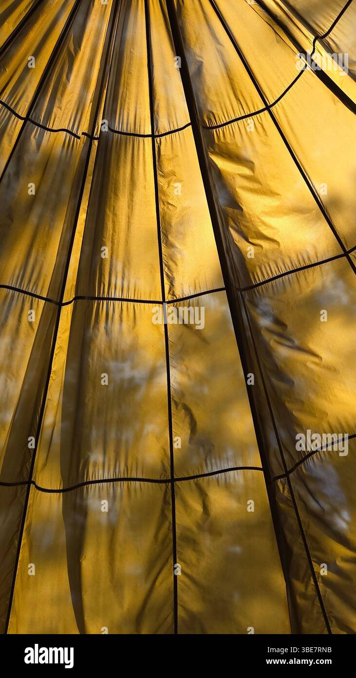 Golden canopy hi-res stock photography and images - Alamy