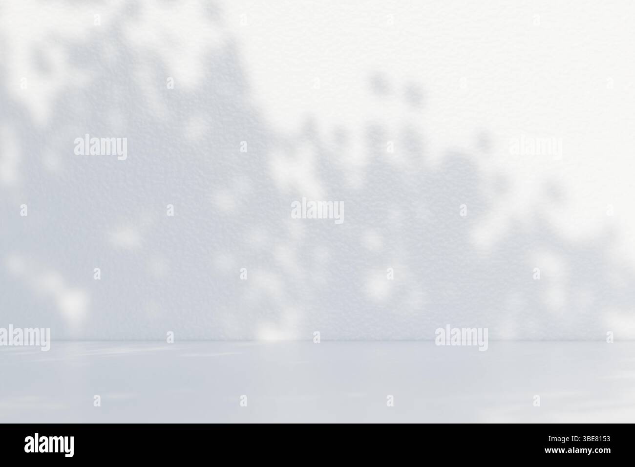 Soft shadows of tree branches create an abstract pattern on a plain white wall. 3d rendering Stock Photo