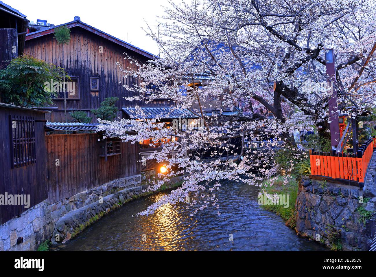 gion-shirakawa-canal-with-cherry-blossom-at-kyoto-japan-stock-photo