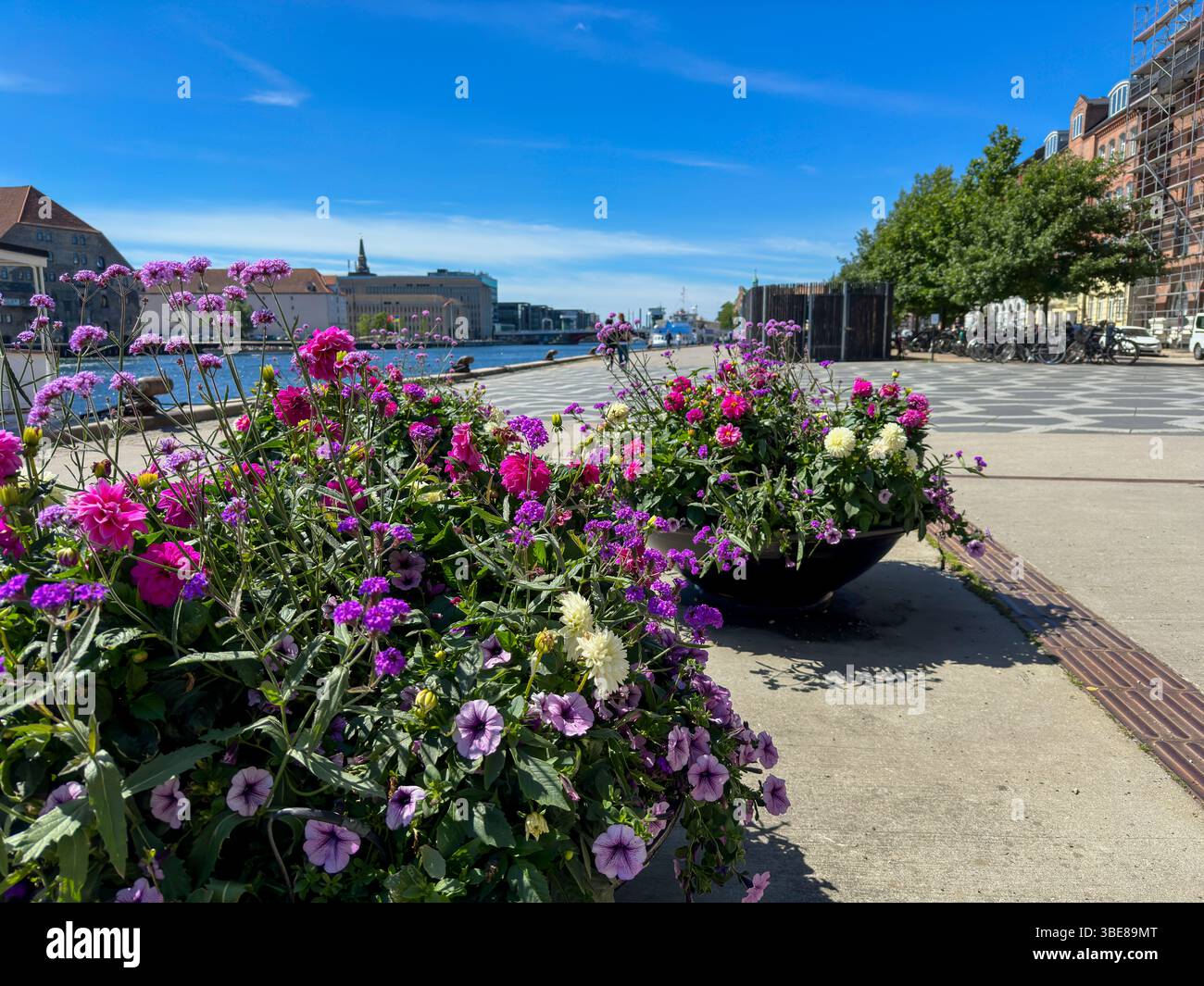 Blumenschalen am Wasserufer an einem sonnigen Tag in Kopenhagen, Dänemark - Smartphone Captured Stock Image