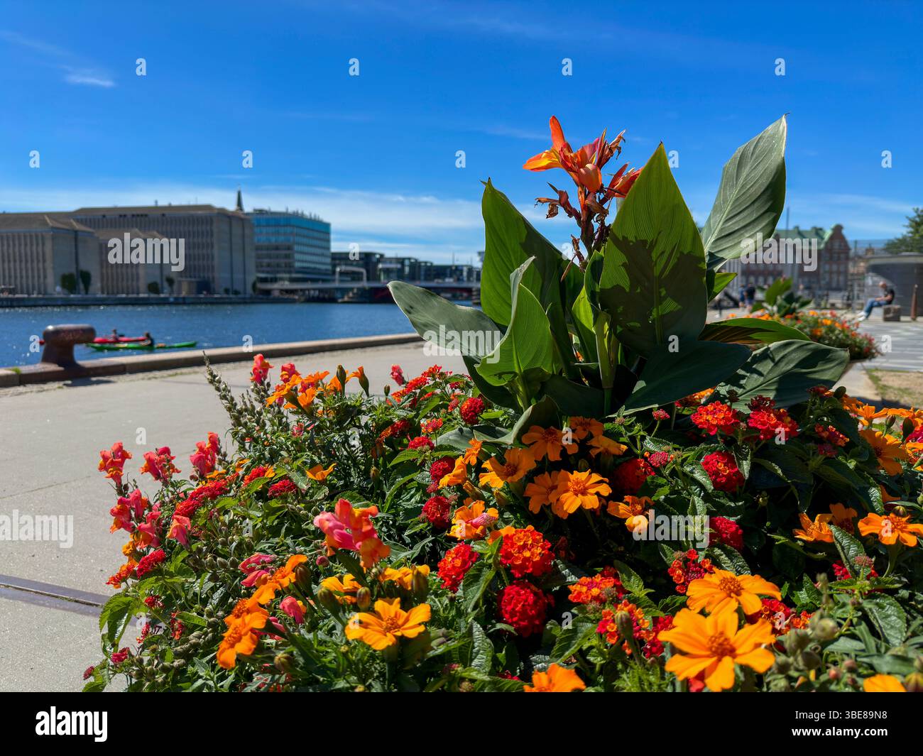 Blumenschalen am Wasserufer an einem sonnigen Tag in Kopenhagen, Dänemark - Smartphone Captured Stock Image